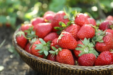 Photo of Delicious ripe strawberries in wicker basket outdoors, closeup