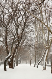 Photo of Winter city park with trees on snow day