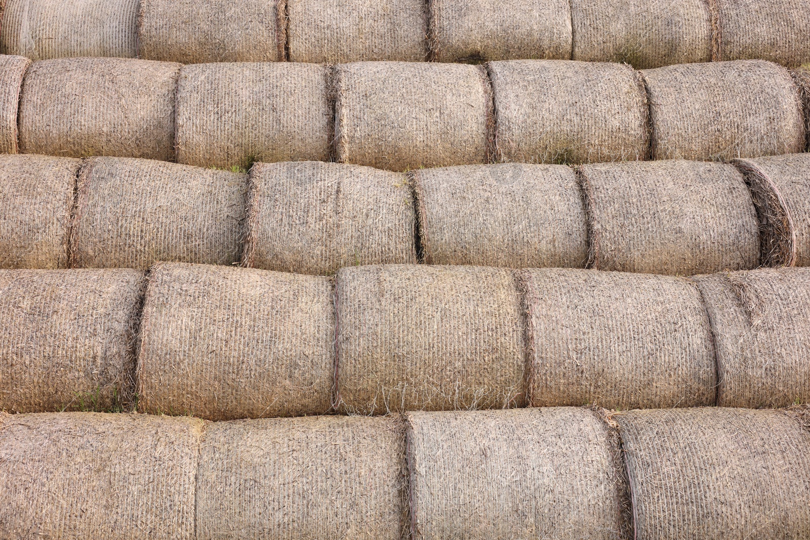 Photo of Many hay bales as background, closeup view