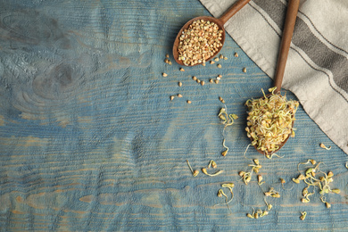 Photo of Flat lay composition with green buckwheat on blue wooden table, space for text