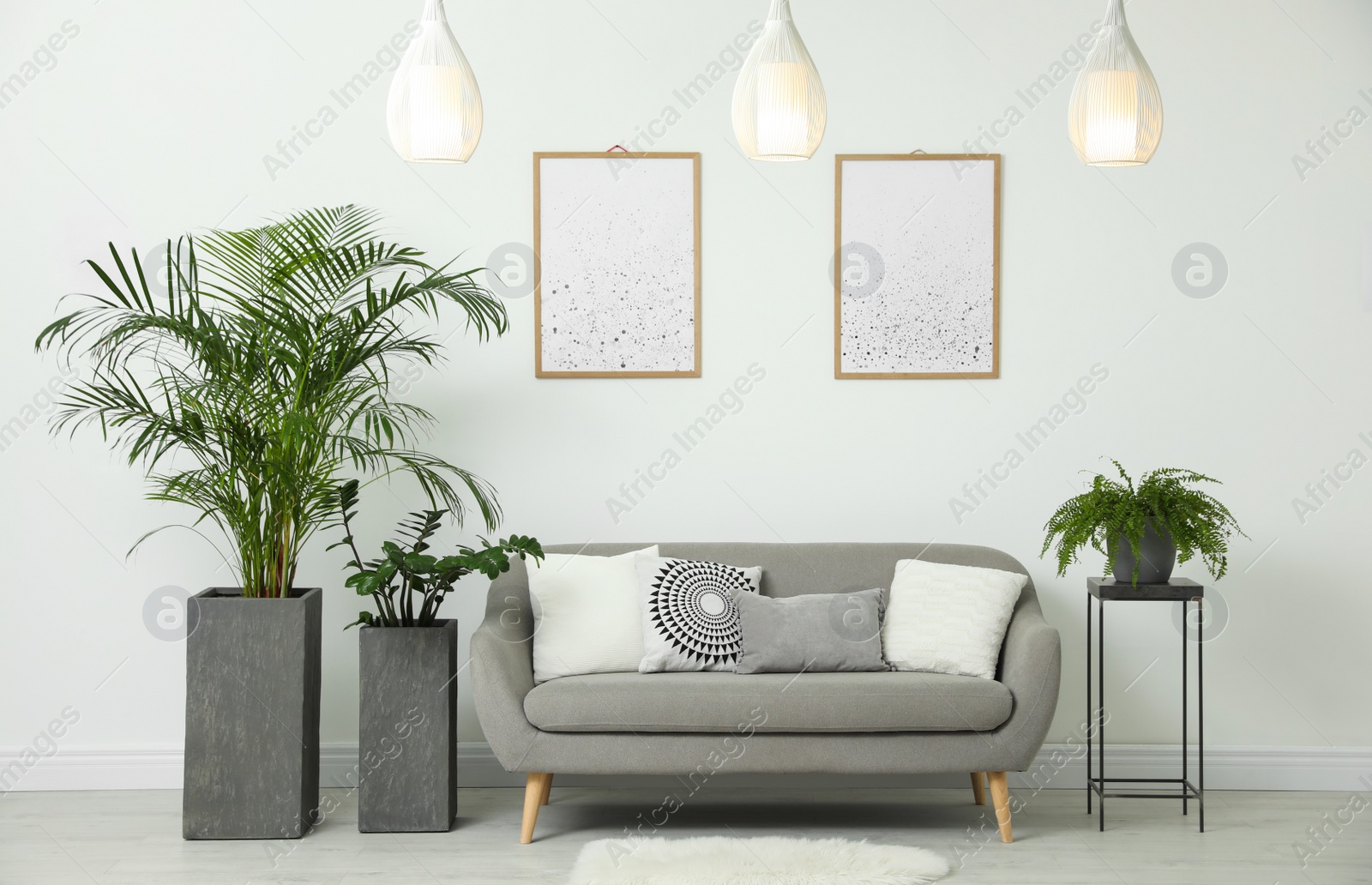 Photo of Beautiful potted plants in modern living room