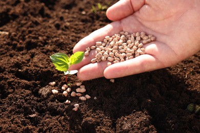 Photo of Man fertilizing soil with growing sprout, closeup