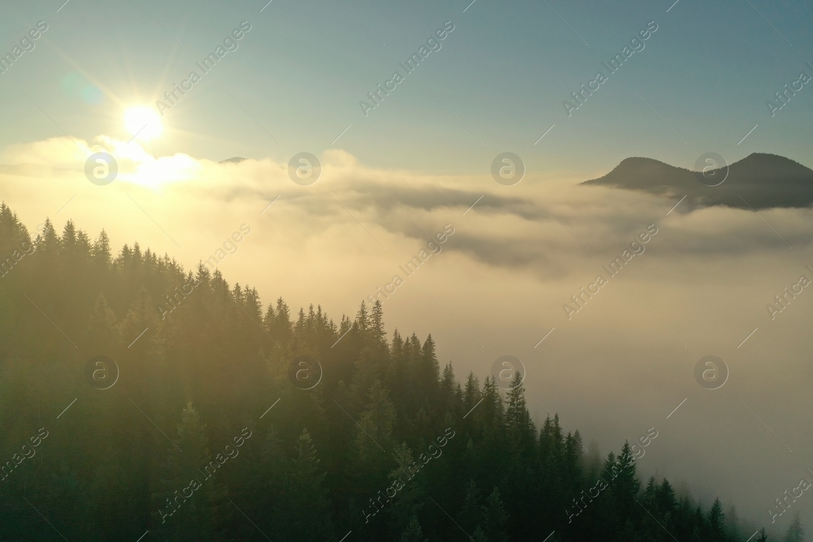 Photo of Beautiful landscape with sun over forest in misty mountains. Drone photography