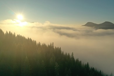 Beautiful landscape with sun over forest in misty mountains. Drone photography