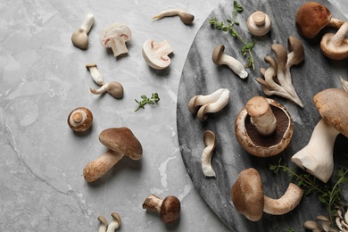 Flat lay composition with fresh wild mushrooms on light grey table