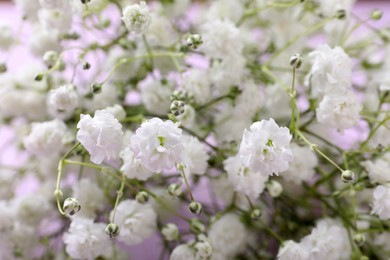 Photo of Beautiful gypsophila flowers on violet background, closeup view
