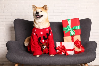 Photo of Cute Akita Inu dog in Christmas sweater near gift boxes on sofa