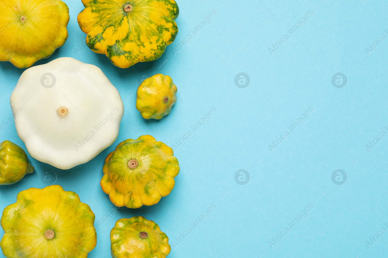 Photo of Fresh ripe pattypan squashes on light blue background, flat lay. Space for text