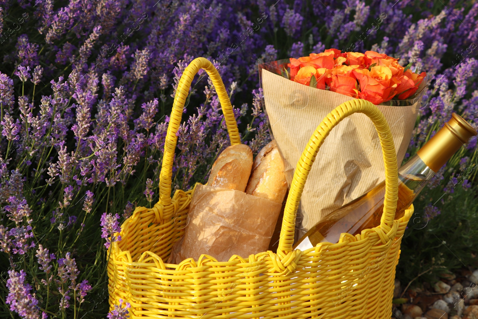 Photo of Yellow wicker bag with beautiful roses, bottle of wine and baguettes in lavender field