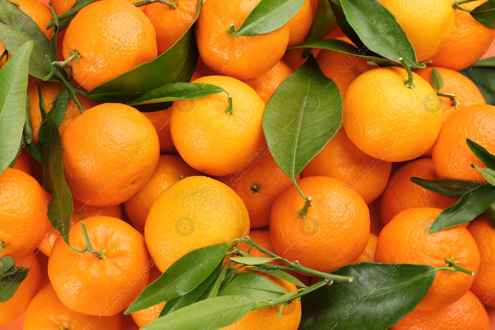 Photo of Fresh tangerines with green leaves as background, top view