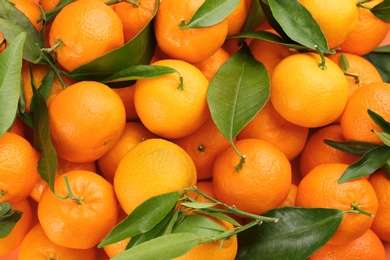 Photo of Fresh tangerines with green leaves as background, top view