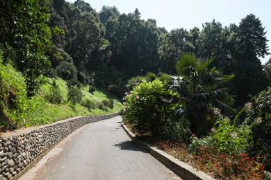 Photo of Beautiful pathway near blooming bush and plants in park