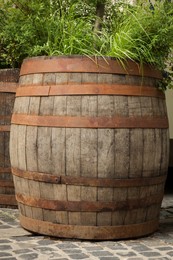 Photo of Traditional wooden barrel and green plants outdoors
