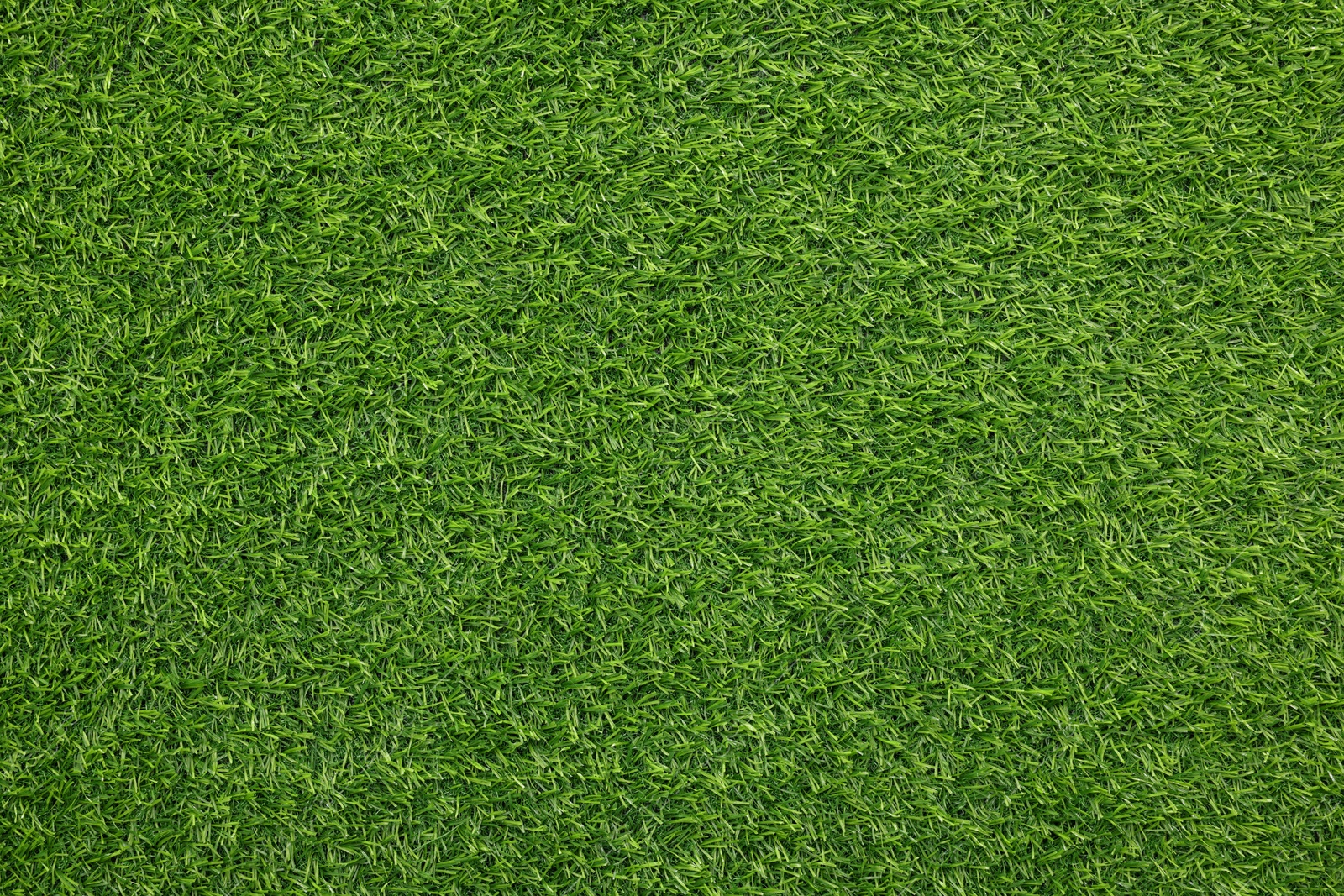 Photo of Green artificial grass as background, top view