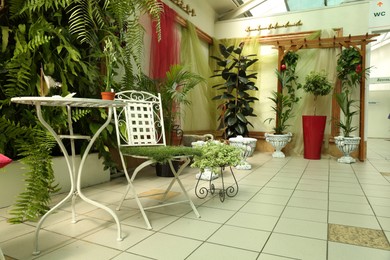 Photo of Cozy room with different green plants and garden furniture
