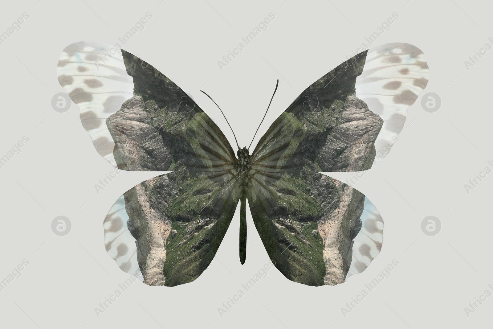 Image of Double exposure of butterfly and mountain landscape