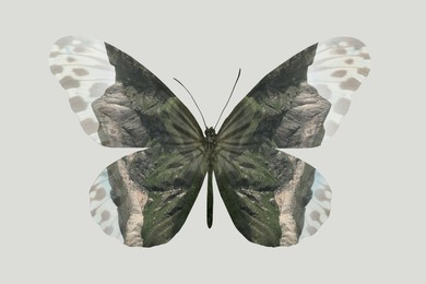 Image of Double exposure of butterfly and mountain landscape