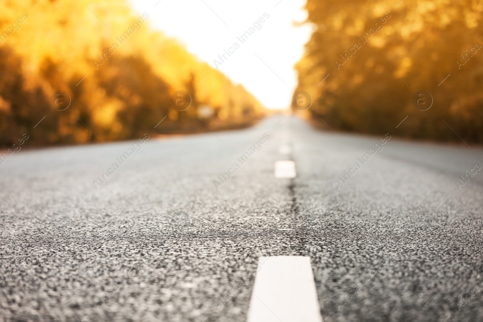 Photo of Beautiful view of asphalt road near autumn forest