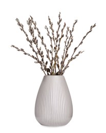 Photo of Beautiful blooming pussy willow branches in vase on white background