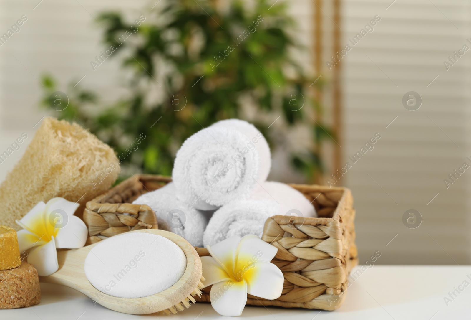 Photo of Composition with different spa products and plumeria flowers on white table indoors, closeup