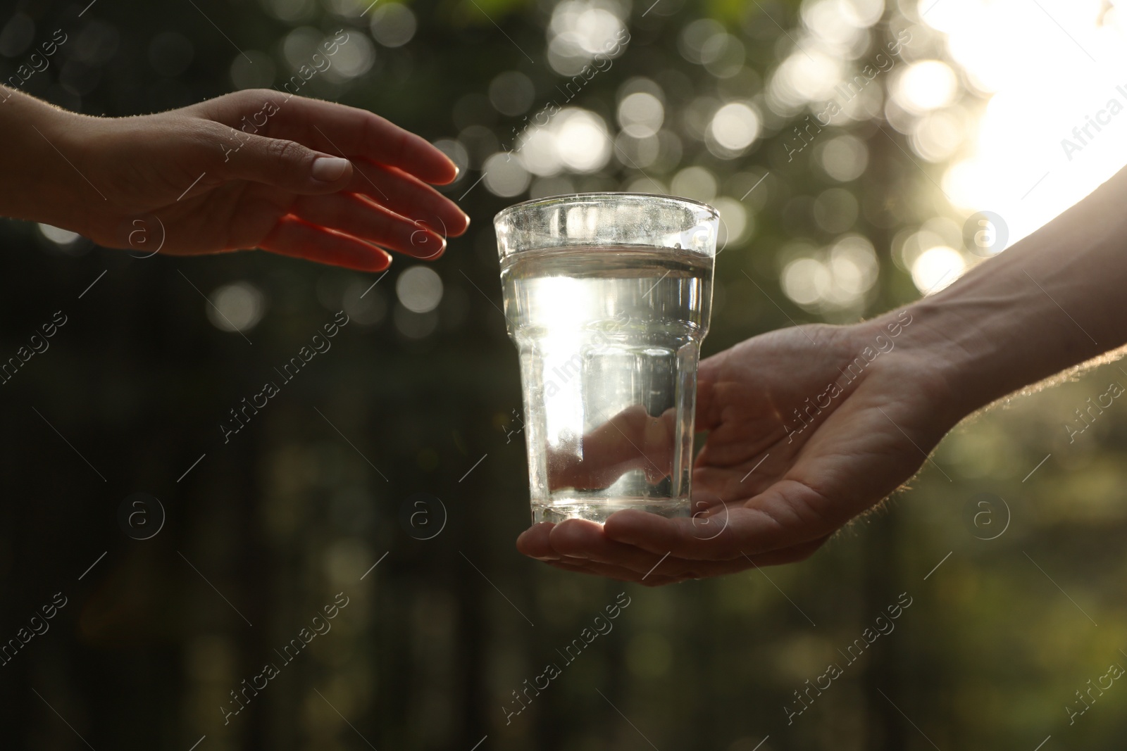 Photo of Man giving woman glass of fresh water in forest on sunny day, closeup