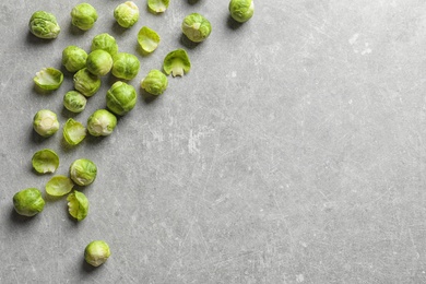 Fresh Brussels sprouts on grey background, top view with space for text