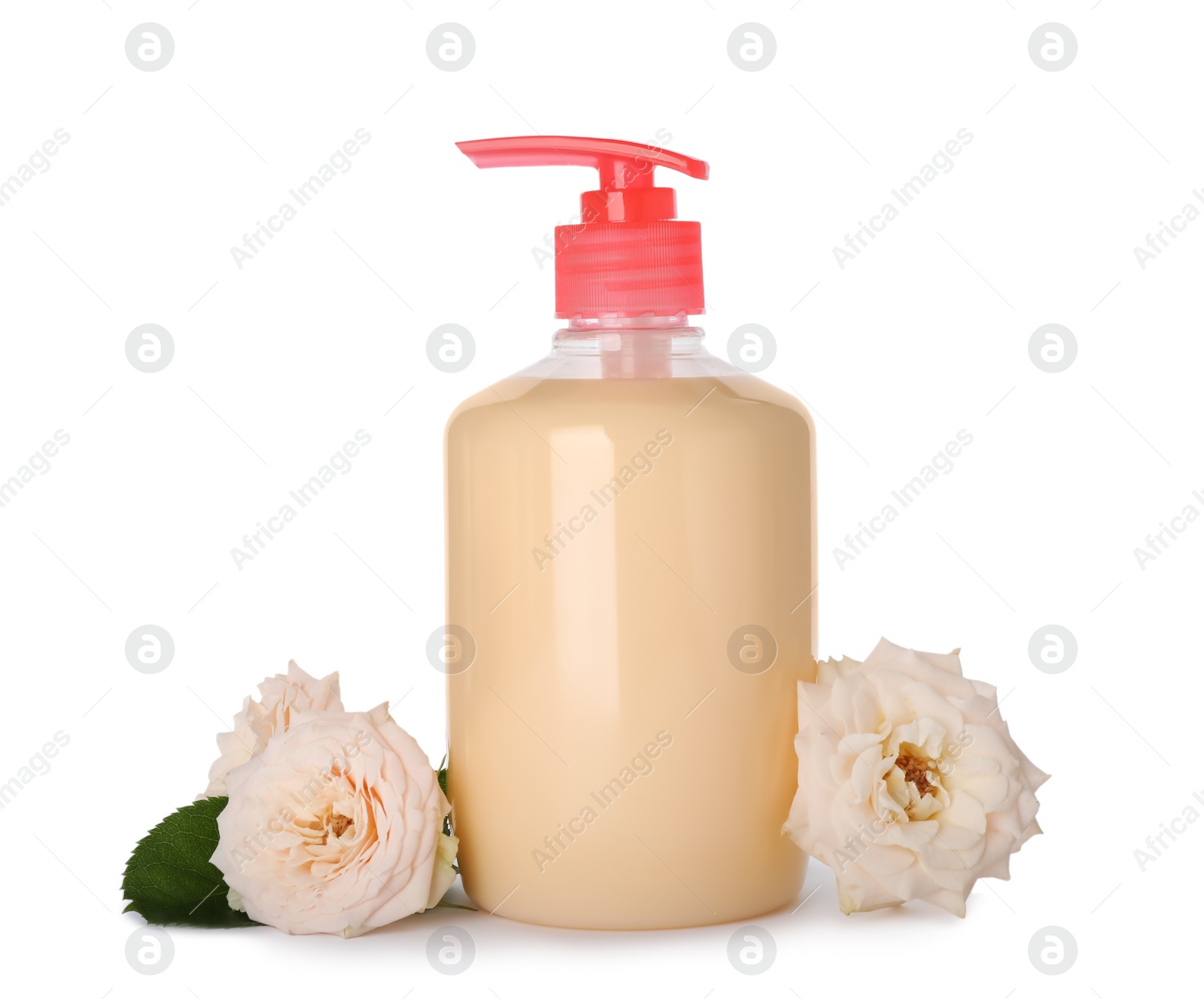 Photo of Dispenser of liquid soap and roses on white background