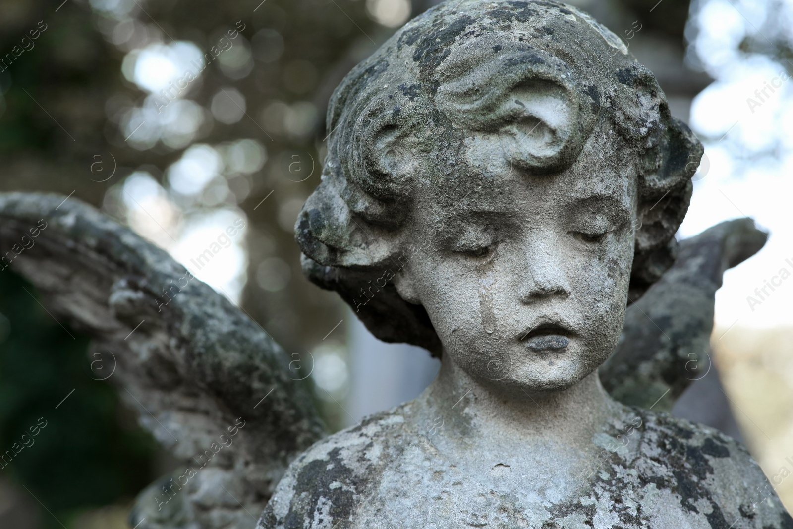 Photo of Beautiful statue of angel at cemetery, closeup. Religious symbol