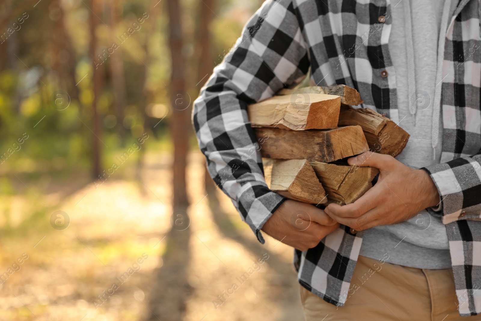 Photo of Man with cut firewood in forest, closeup