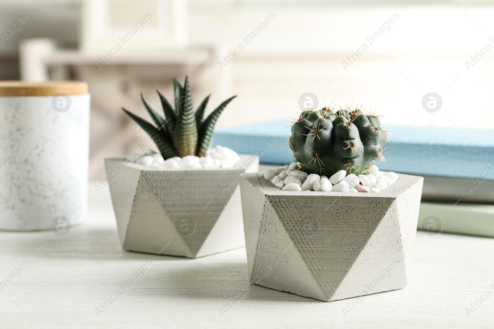 Photo of Beautiful succulent plants in stylish flowerpots on table indoors. Home decor