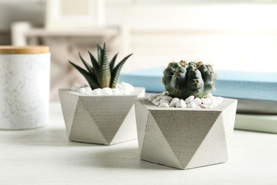 Beautiful succulent plants in stylish flowerpots on table indoors. Home decor