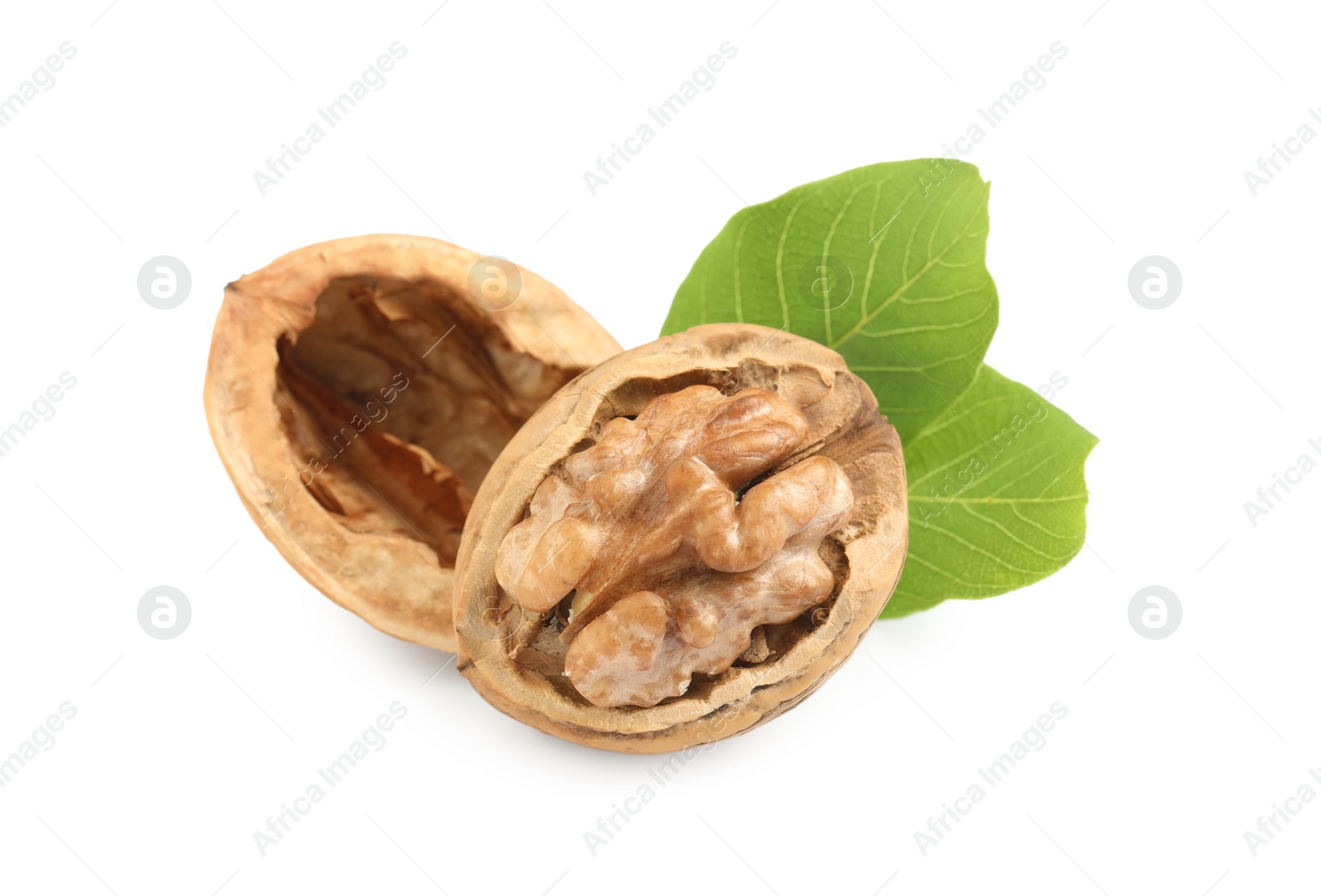 Photo of Fresh ripe walnuts with leaves on white background