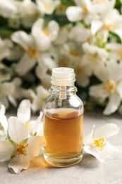 Jasmine essential oil and fresh flowers on light grey table