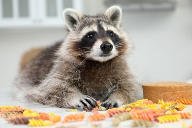 Photo of Cute mischievous raccoon playing with uncooked pasta on kitchen table