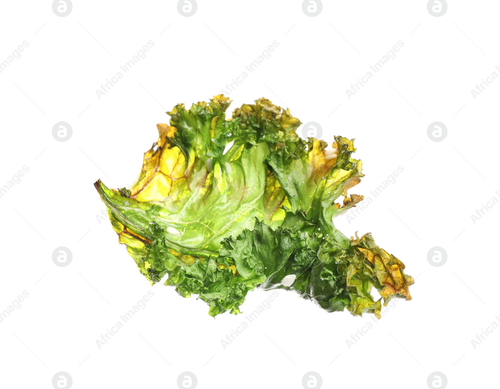 Photo of Tasty baked kale chip isolated on white