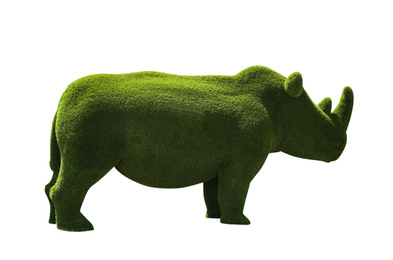 Beautiful rhinoceros shaped topiary isolated on white. Landscape gardening