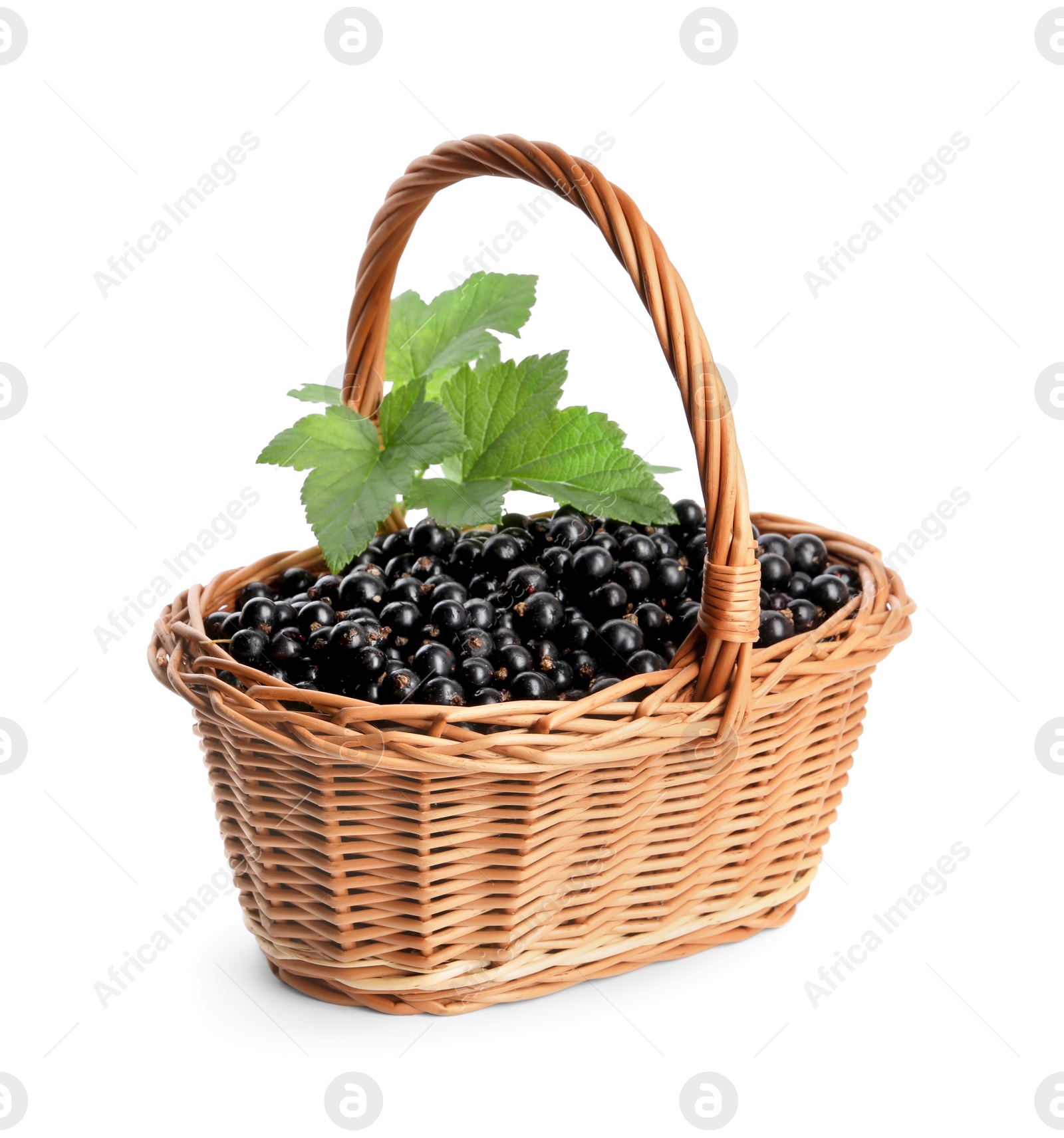 Photo of Ripe blackcurrants and leaves in wicker basket isolated on white