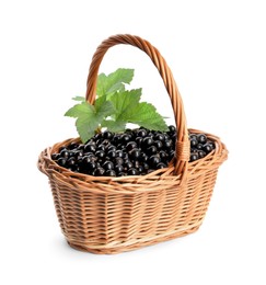 Photo of Ripe blackcurrants and leaves in wicker basket isolated on white