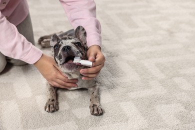 Photo of Woman brushing dog's teeth on floor at home, closeup. Space for text