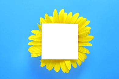 Photo of Beautiful bright sunflower and card on color background