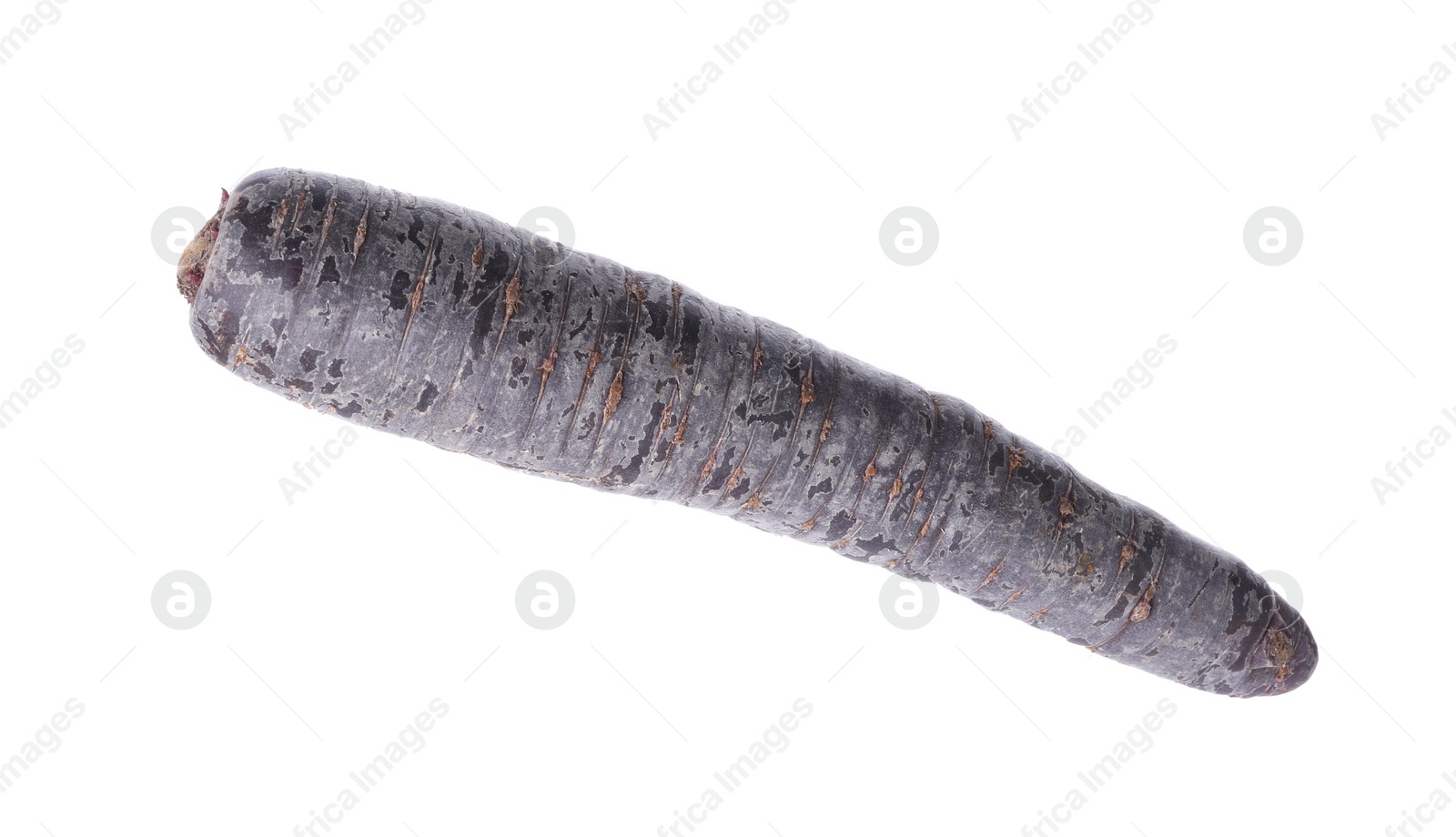 Photo of Fresh raw black carrot isolated on white