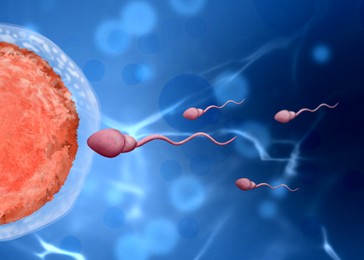 Illustration of Fertilization process. Sperm cells moving to ovum on blue background