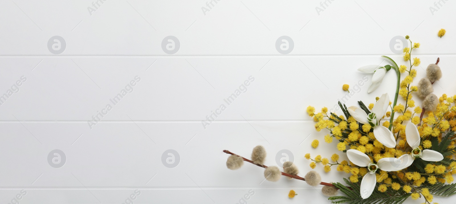 Photo of Beautiful floral composition with mimosa flowers on white wooden background, flat lay. Space for text