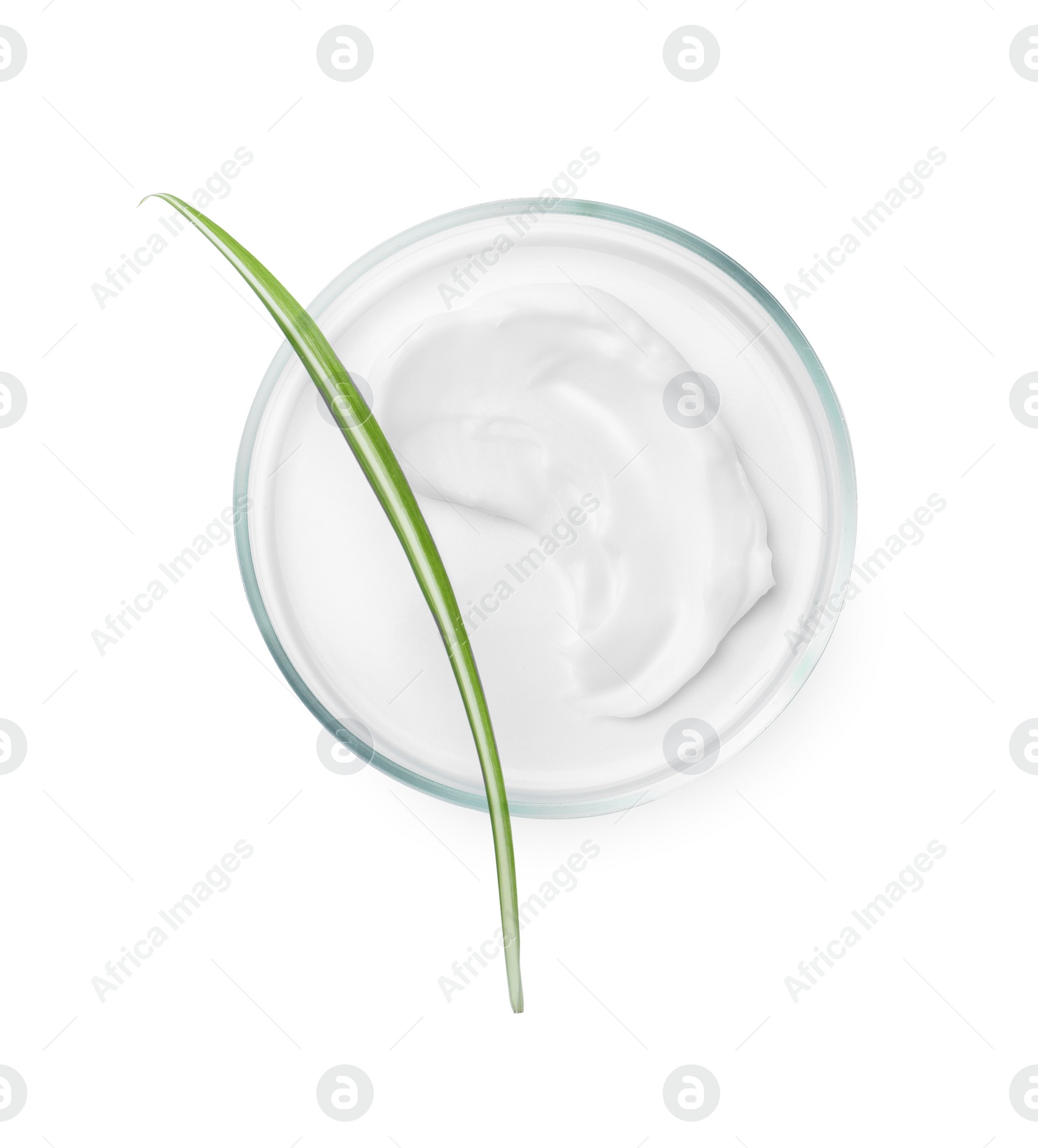 Photo of Petri dish with cosmetic product and leaf on white background, top view