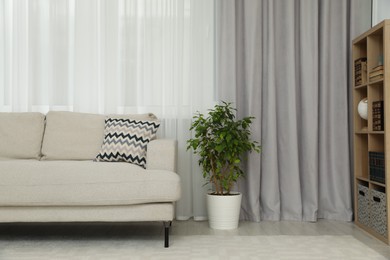 Photo of Living room with light gray window curtain, sofa and potted plant