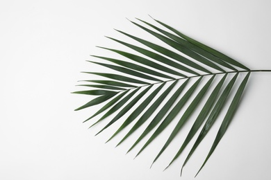 Photo of Leaf of tropical palm tree on white background, top view
