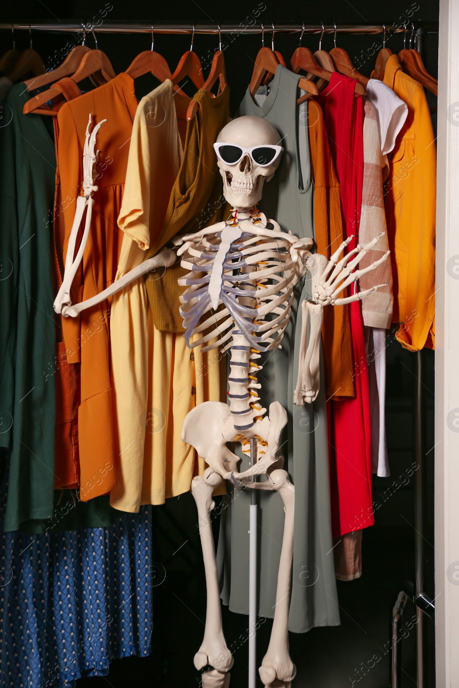 Photo of Artificial human skeleton model among clothes in wardrobe