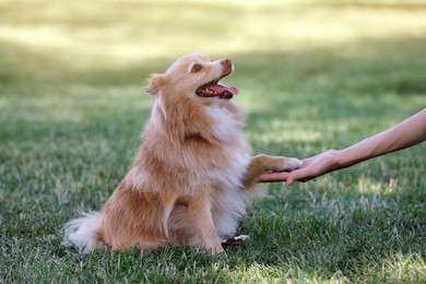 Photo of Young woman with her cute dog in park, closeup