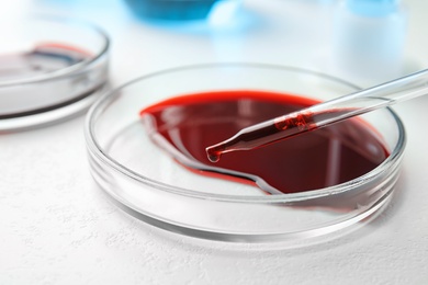 Dripping blood from pipette into Petri dish on table, closeup. Laboratory analysis