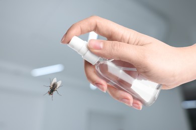 Woman using fly spray in room, closeup